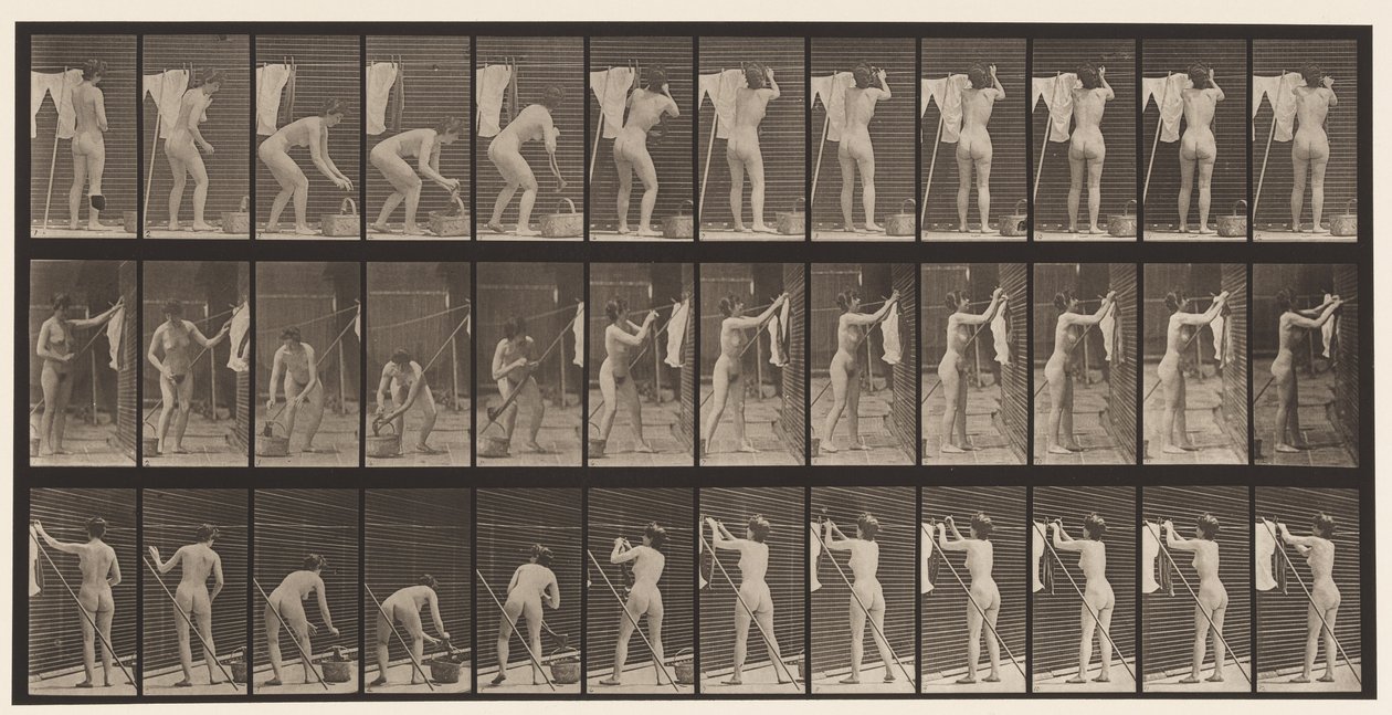 Plate 434. Hanging Clothes on Line by Eadweard Muybridge