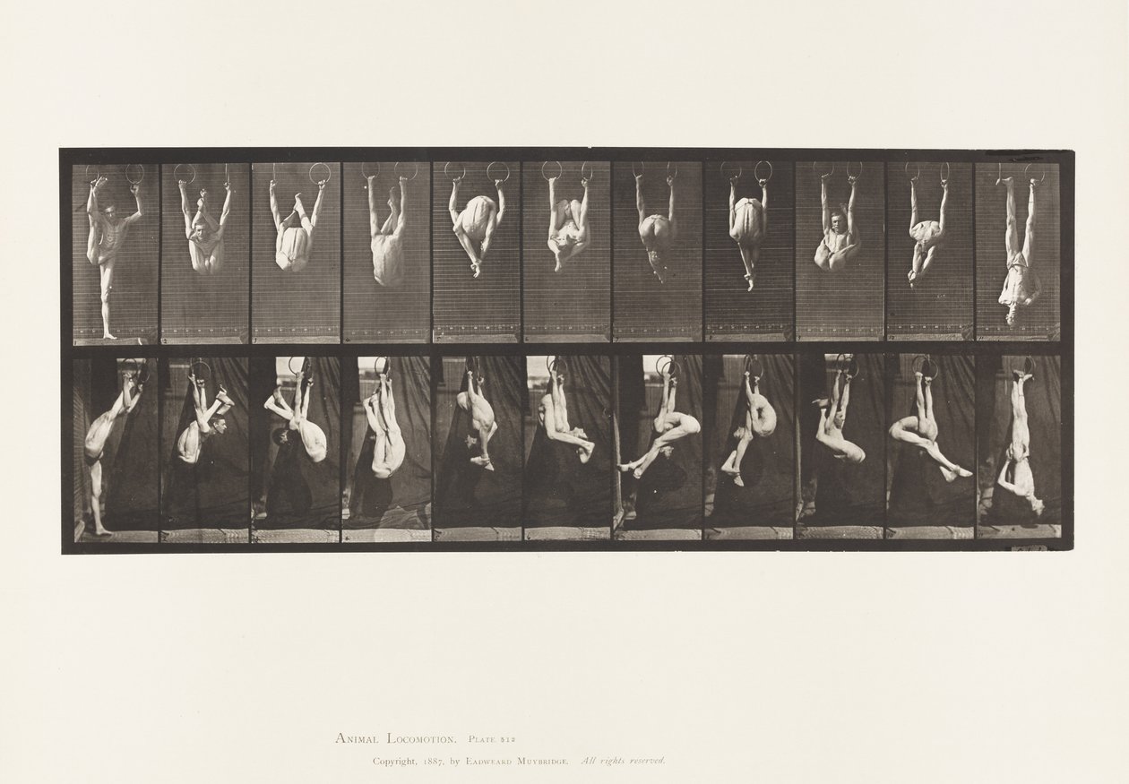 Plate 512. Contortions on Rings by Eadweard Muybridge