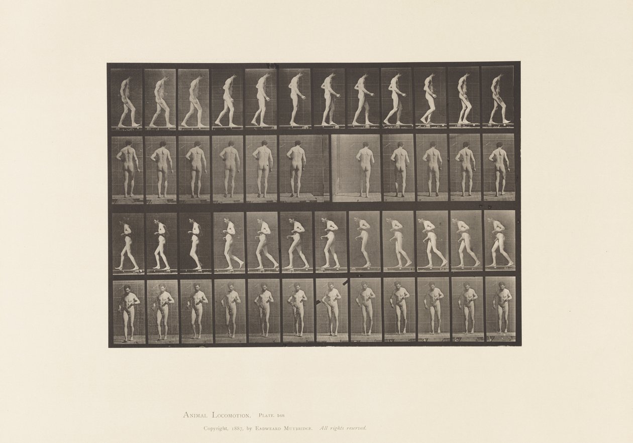Lateral Sclerosis; Walking by Eadweard Muybridge