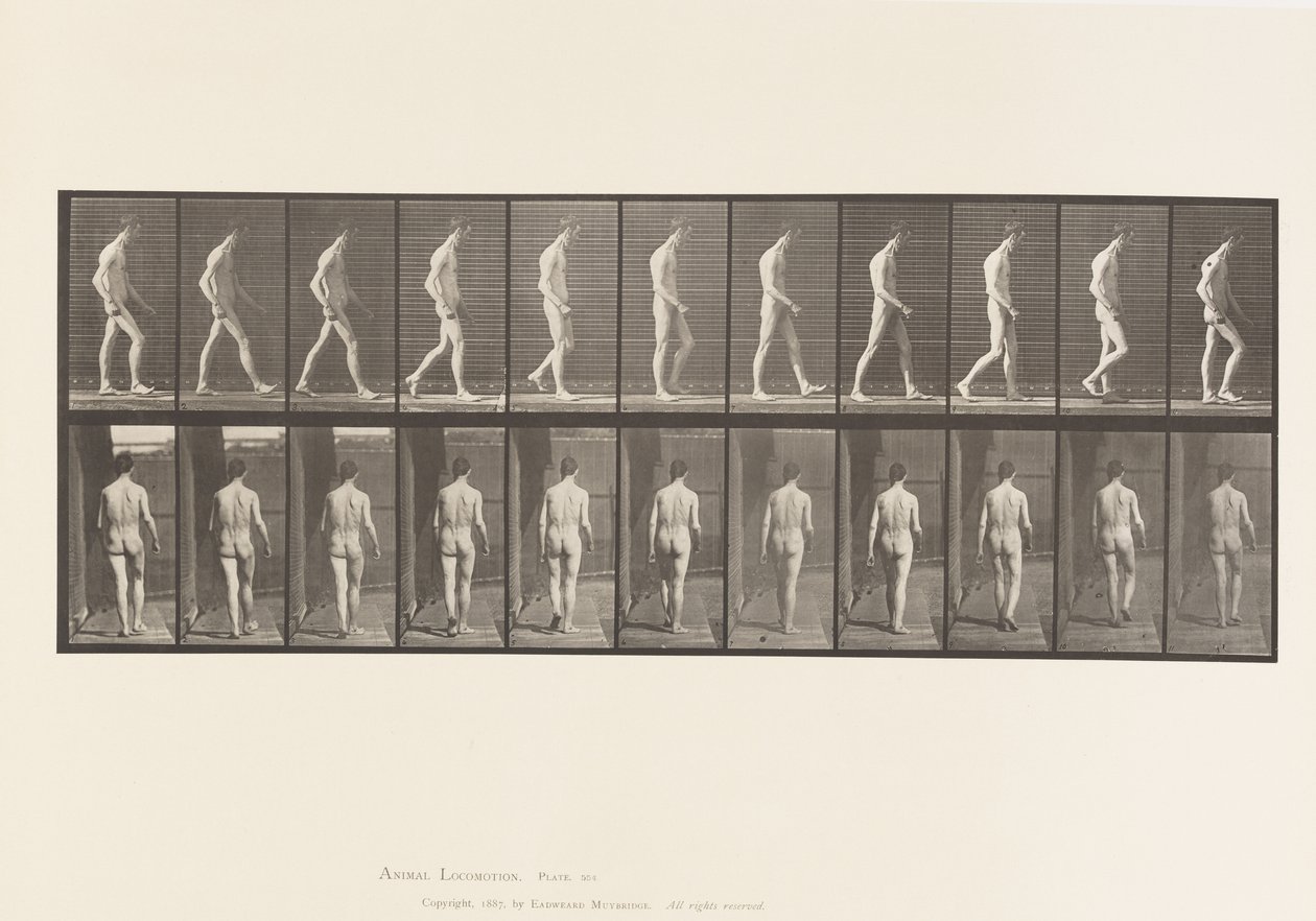 Locomotor Ataxia; Walking by Eadweard Muybridge