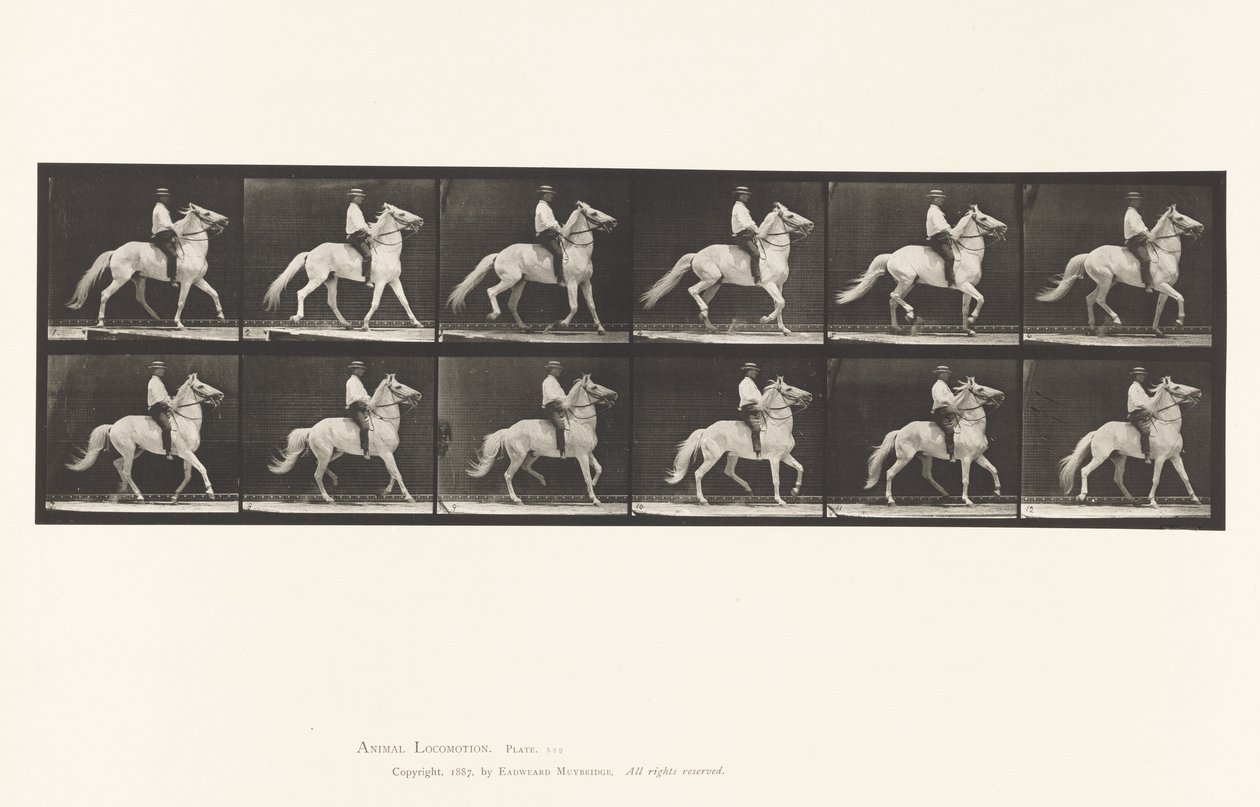 Ambling by Eadweard Muybridge