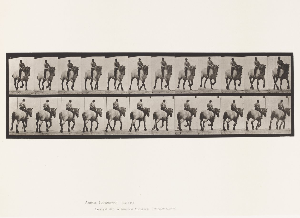 Trotting; Bareback; Dark-Gray Dusel (Plate 599) by Eadweard Muybridge