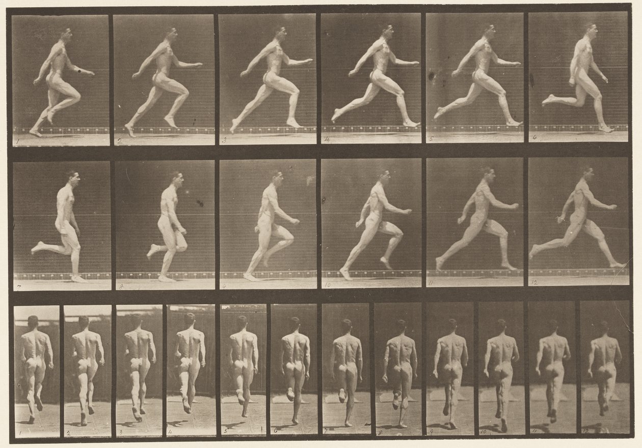 Plate 64. Running at Full Speed by Eadweard Muybridge