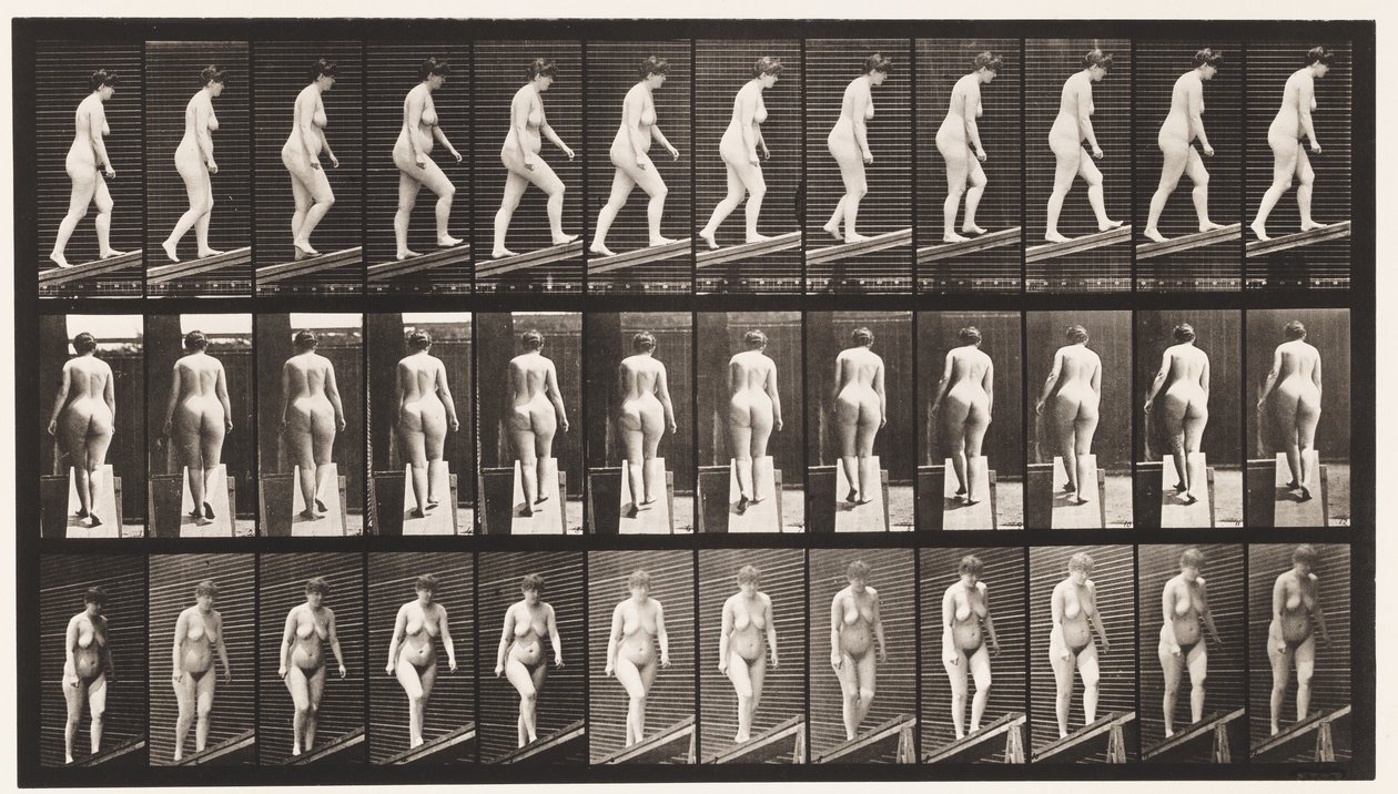 Ascending Incline by Eadweard Muybridge