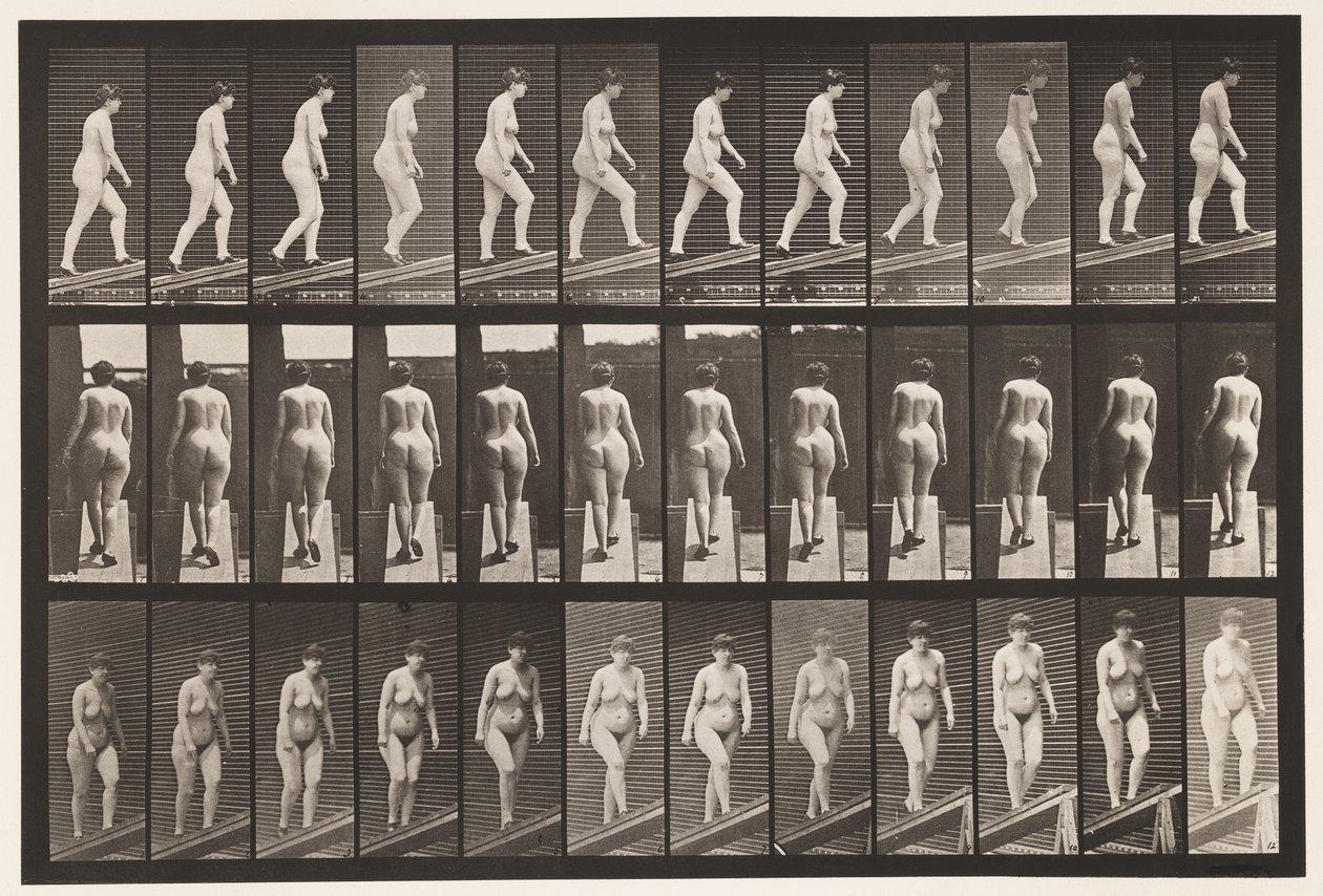 Ascending Incline by Eadweard Muybridge