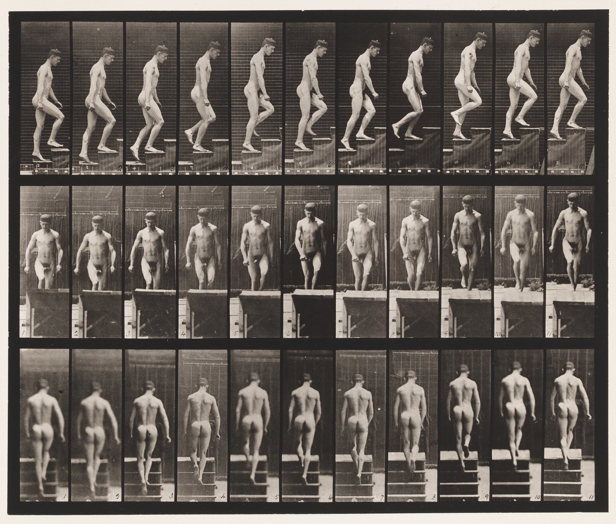 Ascending Stairs by Eadweard Muybridge