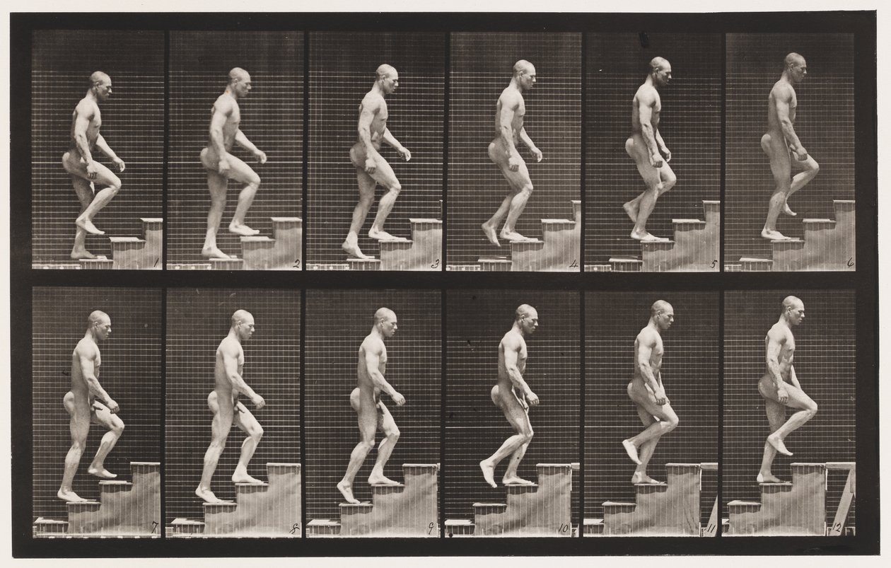Plate 91. Ascending Stairs by Eadweard Muybridge