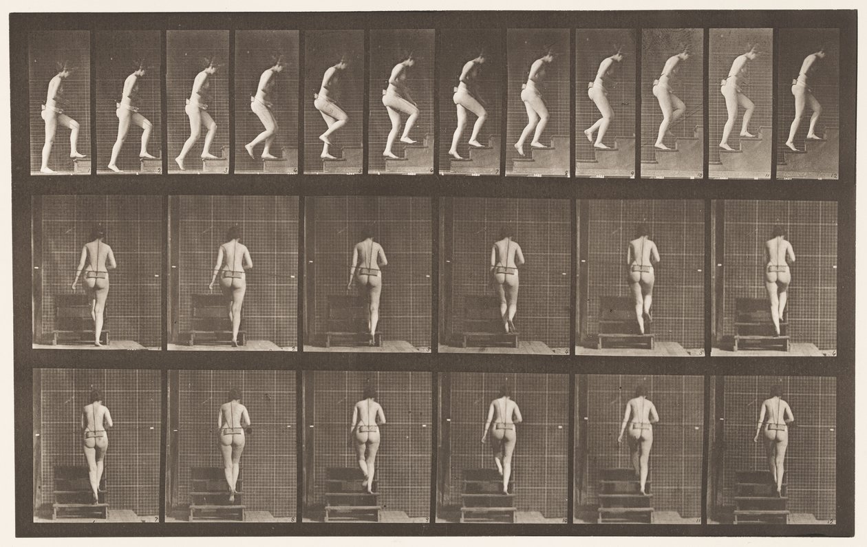 Plate 93. Ascending Stairs by Eadweard Muybridge