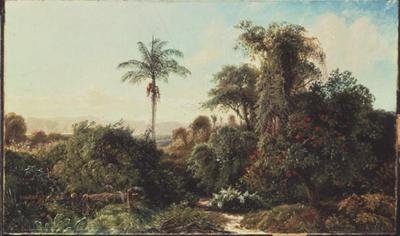 Cuban Landscape by Edmund Darch Lewis