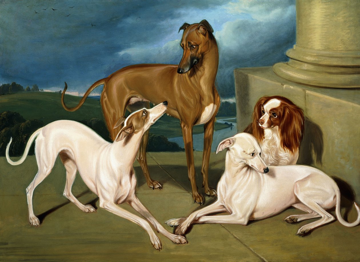 Whippets and a King Spaniel by Edmund Jr Havell