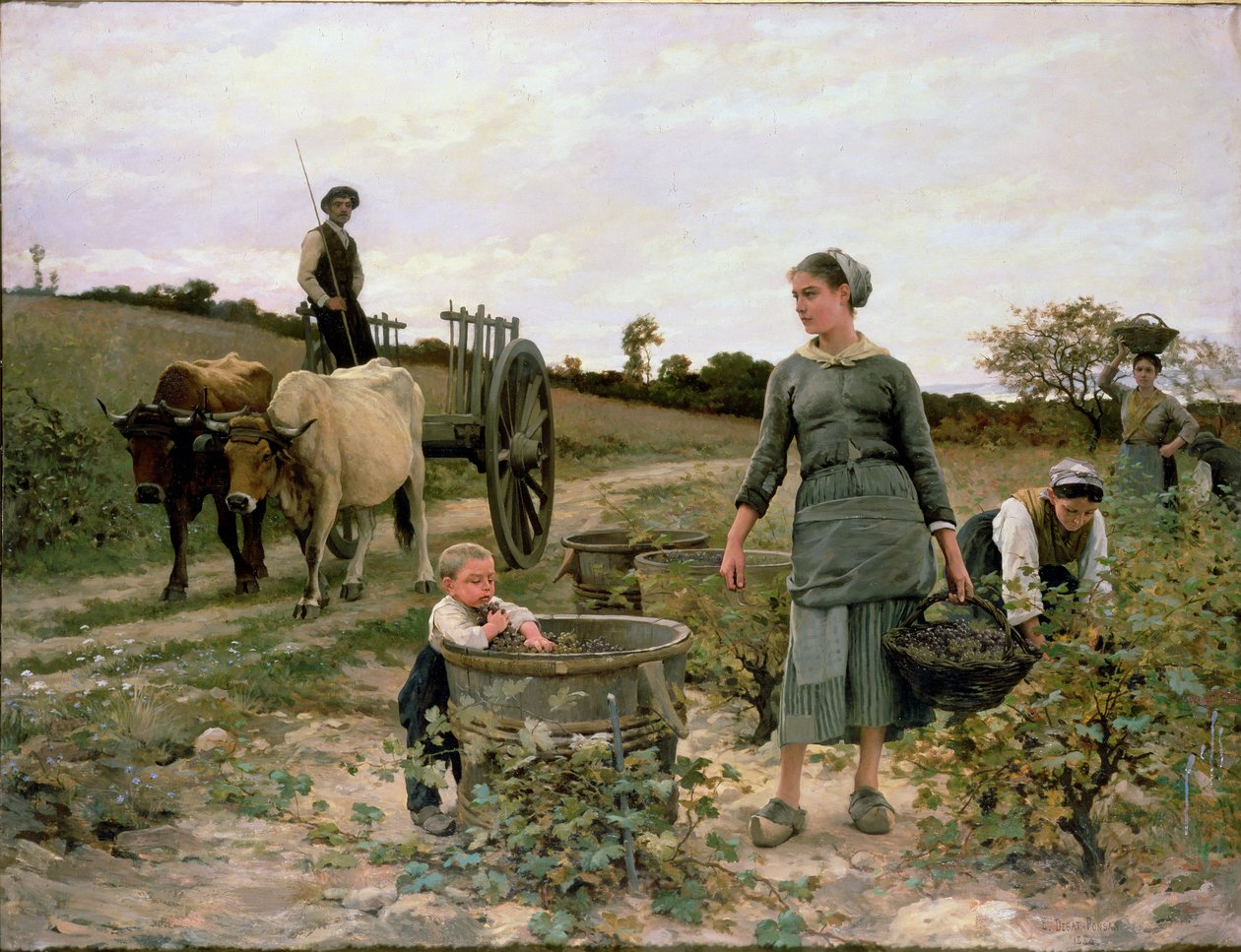 Corner of a Vineyard, Languedoc by Edouard Debat Ponsan