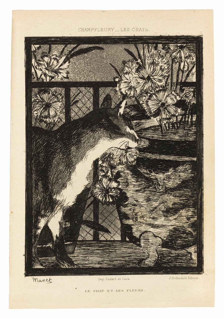 The Cats by Édouard Manet