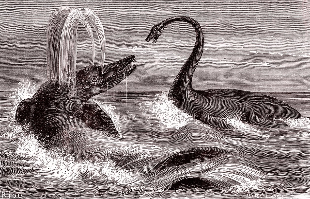 The Ichthyosaurus and the Plesiosaurus by Edouard Riou