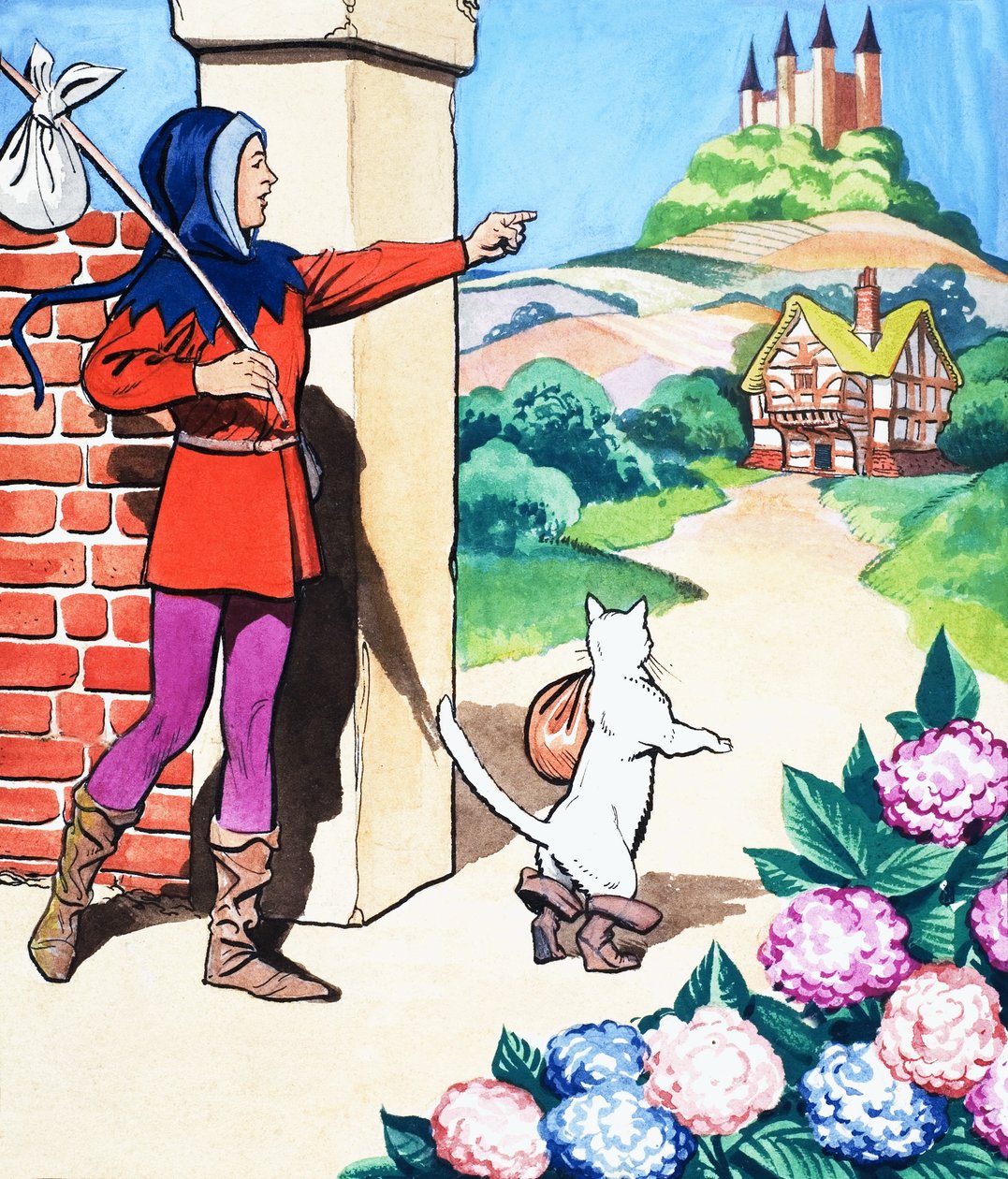 The Story of Puss-in-Boots by Eduardo Teixeira Coelho