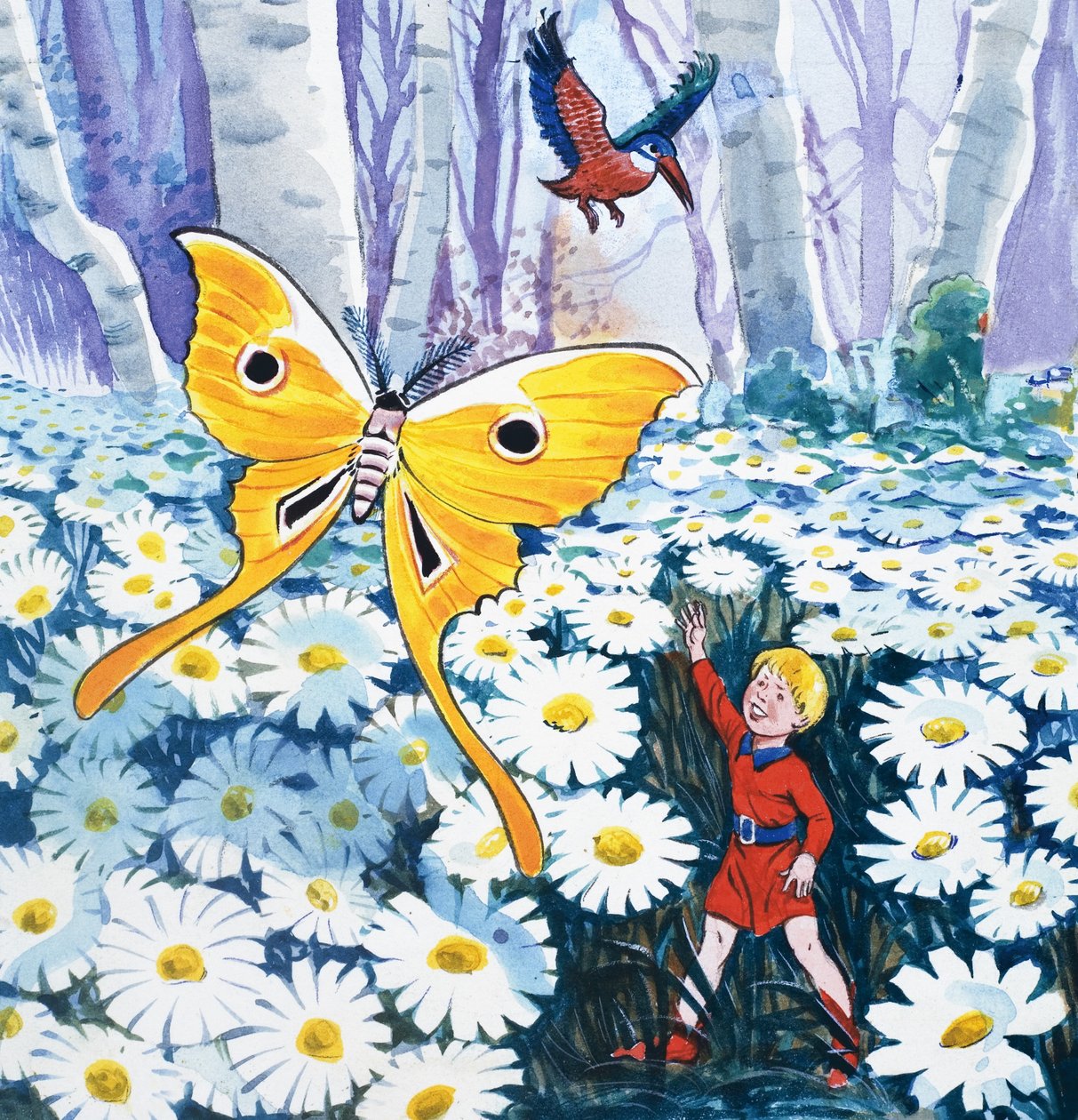 The Story of Tom Thumb by Eduardo Teixeira Coelho