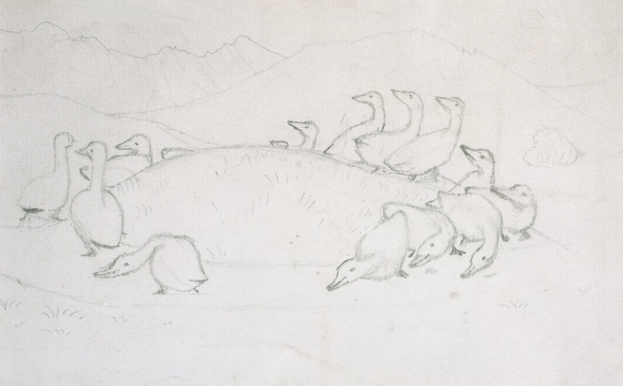 Ducks by Edward Burne Jones