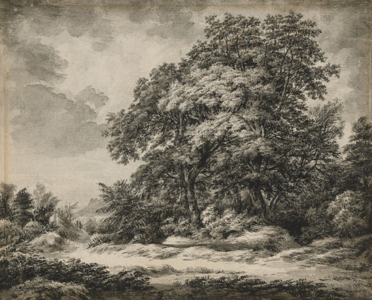 Forest Landscape by Edward Lear