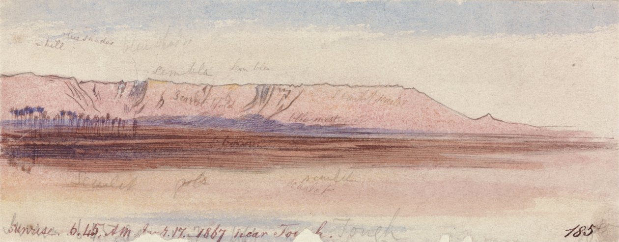 Near Tough by Edward Lear