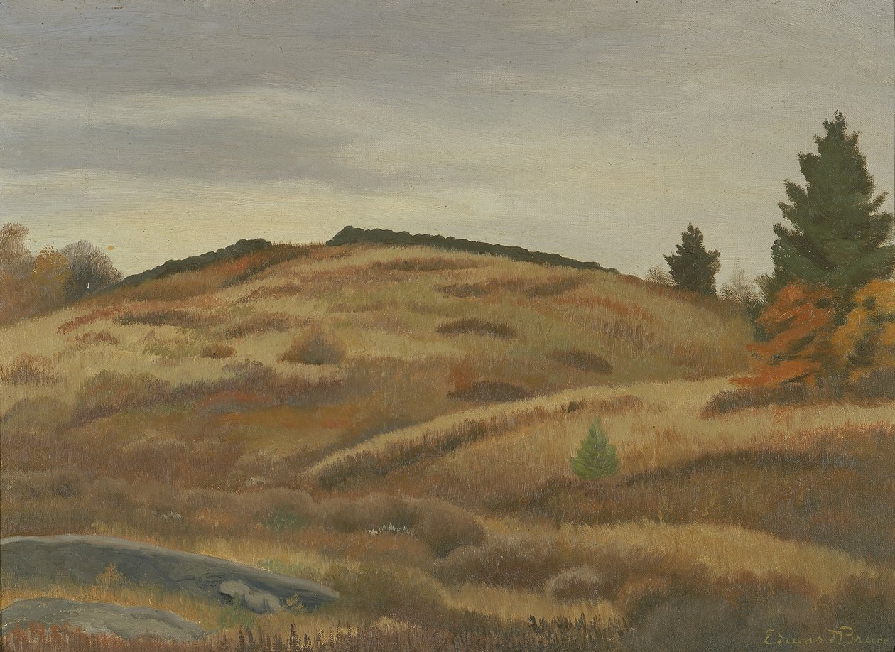 Autumn Fields by Edward Bruce