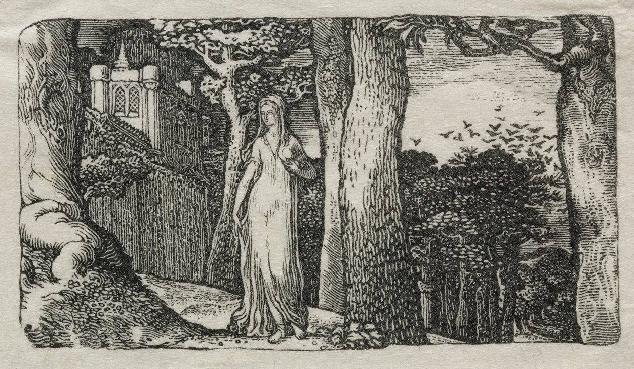 The Lady and the Rooks by Edward Calvert