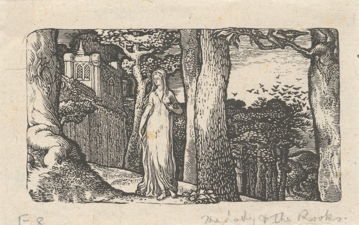 The Lady and the Rooks by Edward Calvert