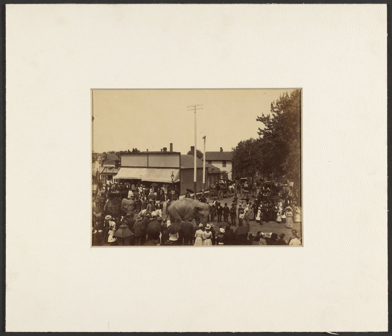 Elephants Walk Through Town, Maple City by Edward H. Hart