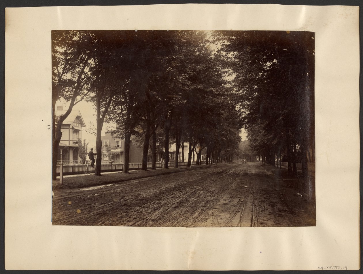 Tree Lined Street by Edward H. Hart