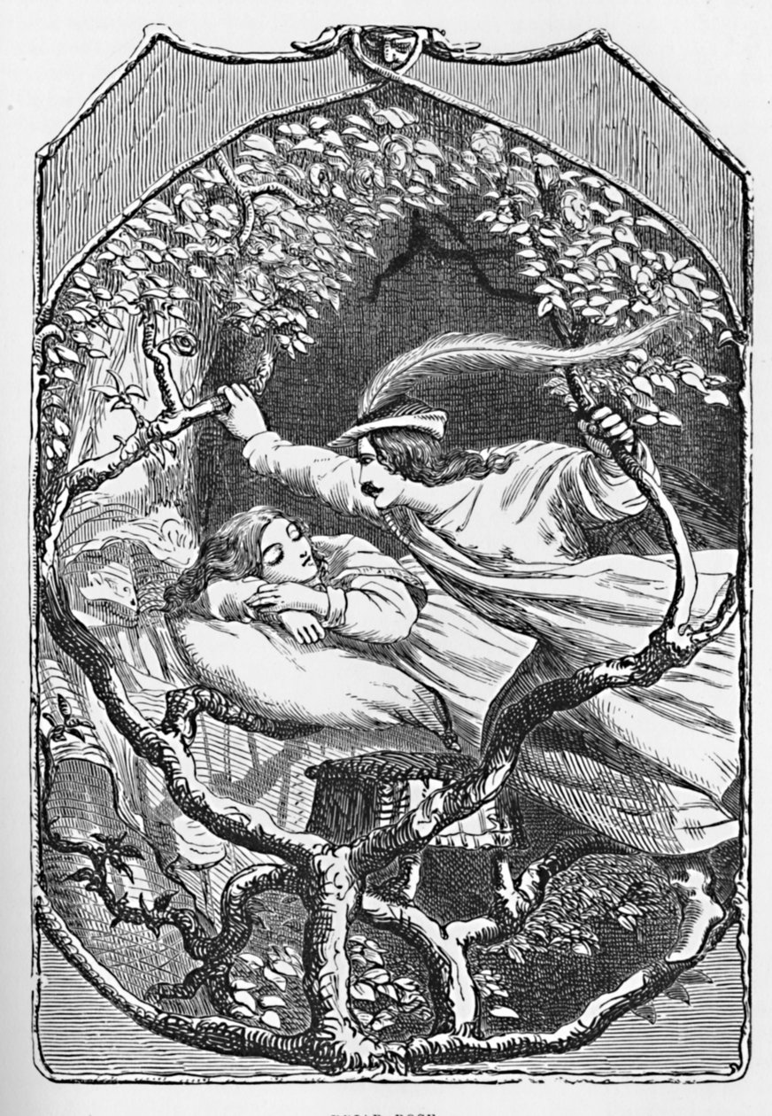 Briar Rose by Edward Henry Wehnert