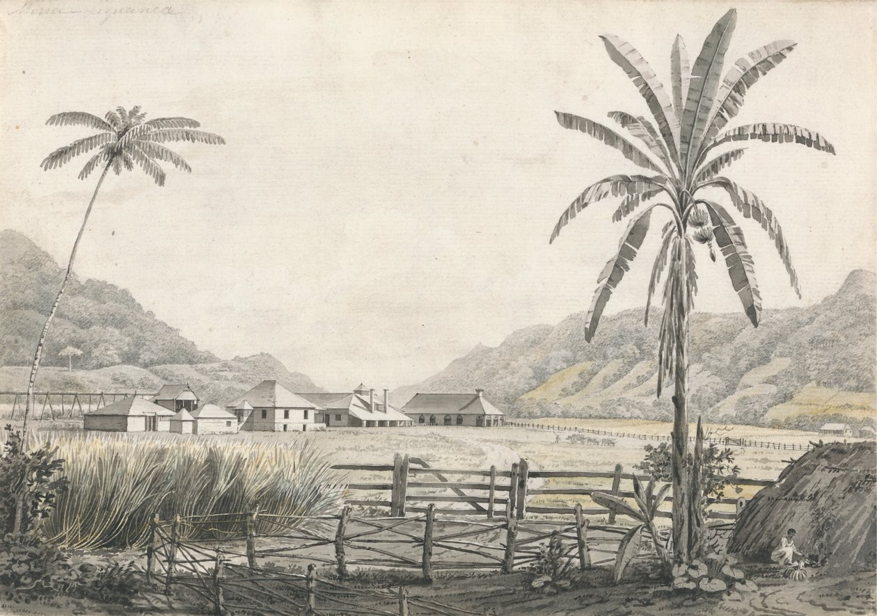 A View of Hall-head Sugar Plantation, Jamaica by Edward Kennion