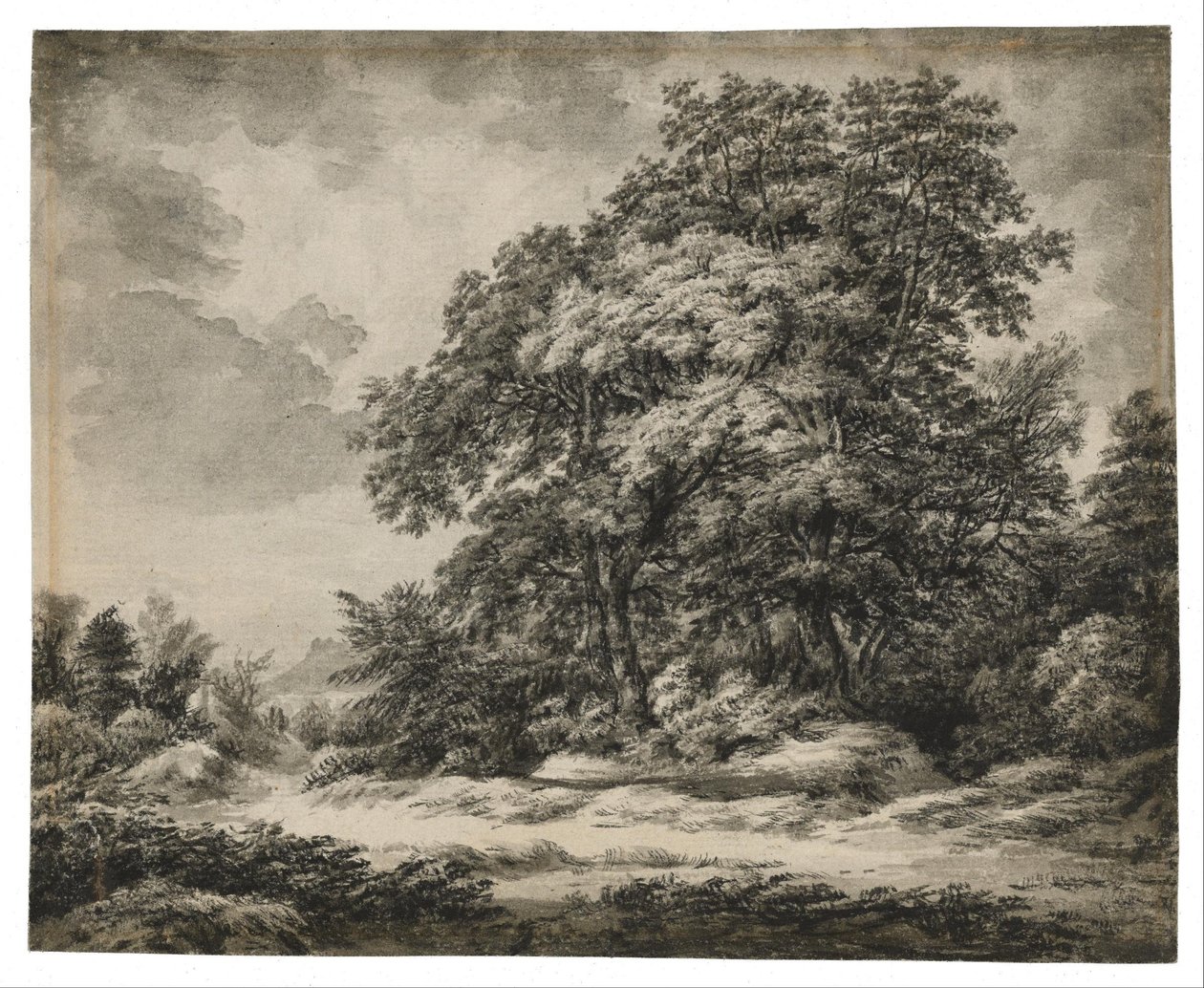 Forest Landscape by Edward Lear