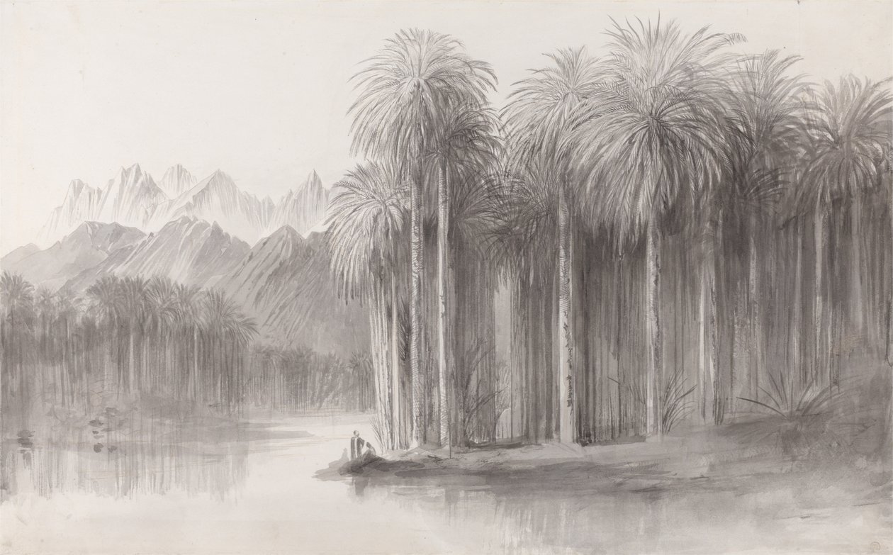 Wady Feiran, Peninsula of Mt. Sinai by Edward Lear