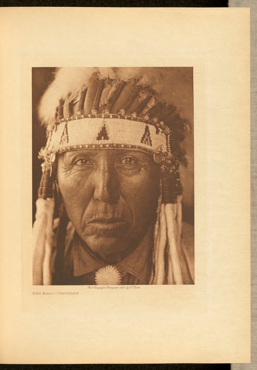 Red Bird by Edward S. Curtis