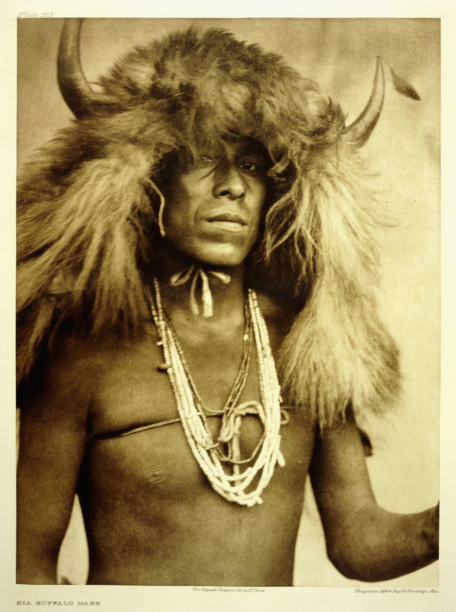 Sia Buffalo Mask by Edward Sheriff Curtis