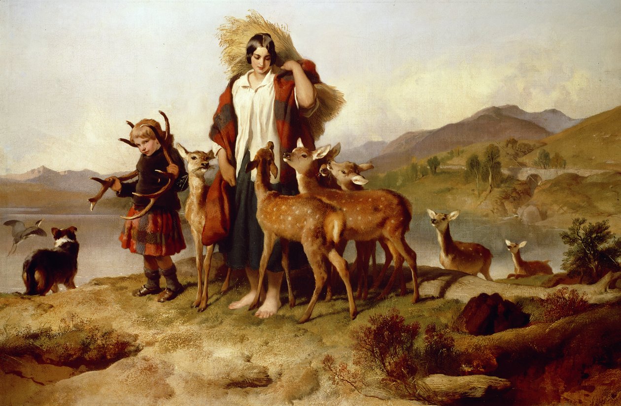 The Forester
