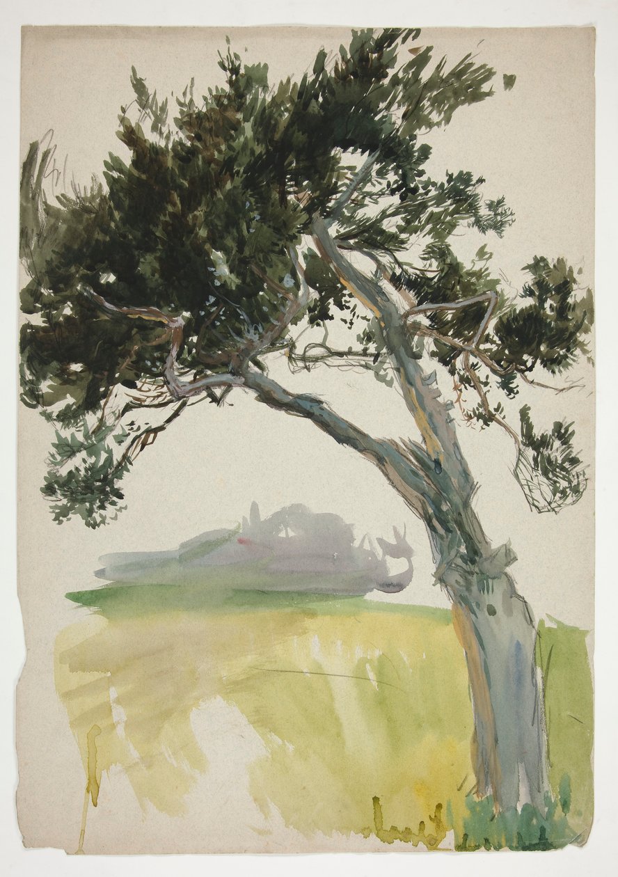 Study of a Tree and Field by Edwin Austin Abbey