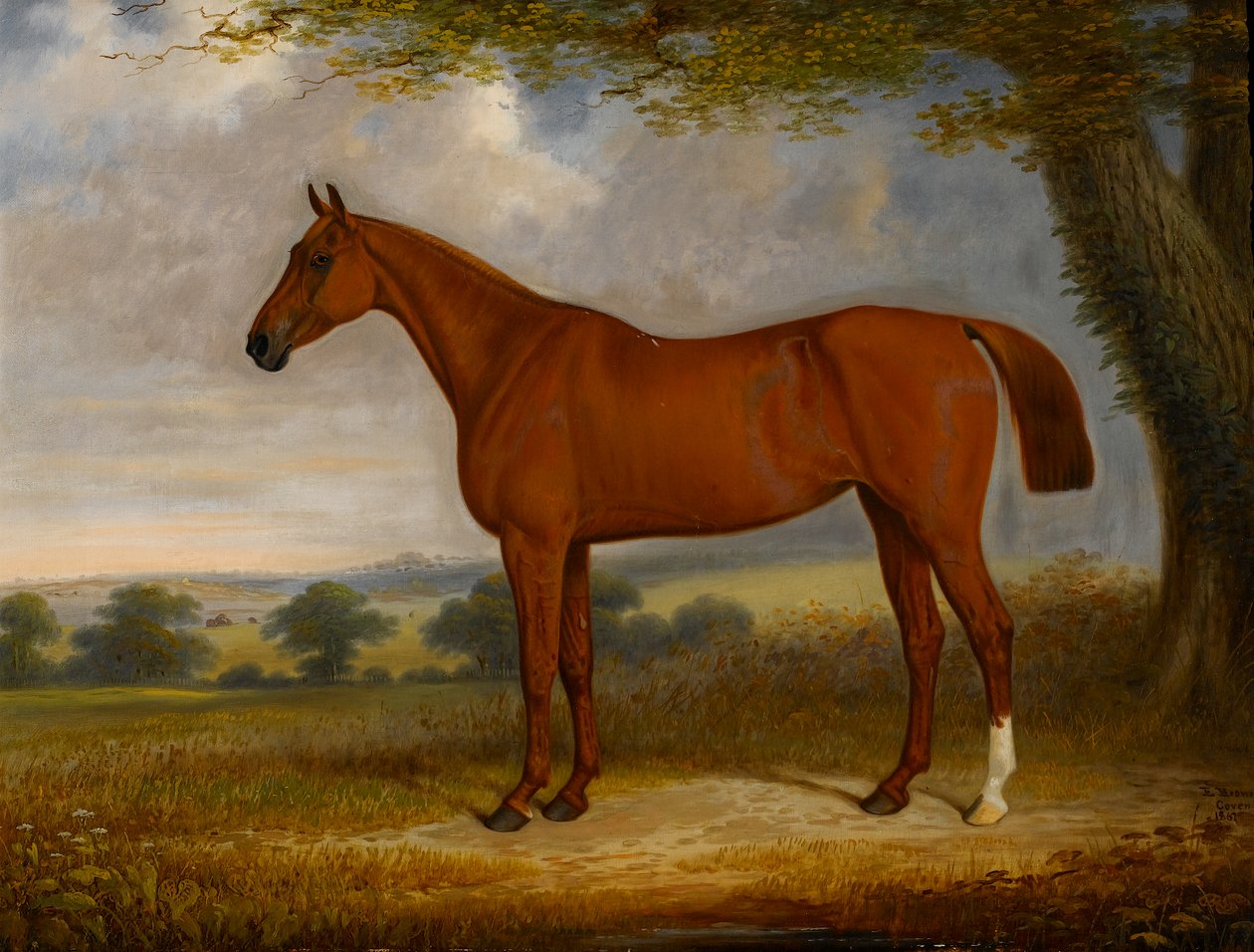 Chestnut Hunter in a Landscape, 1867 by Edwin Brown