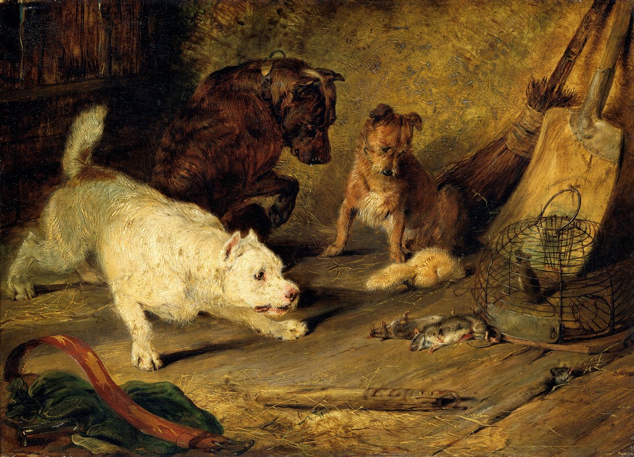 Ratcatchers by Edwin Henry Landseer