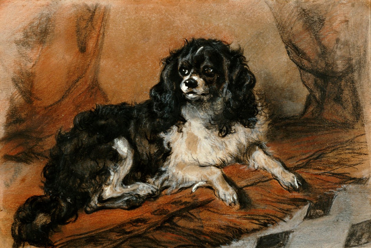 A King Charles Spaniel by Edwin Landseer