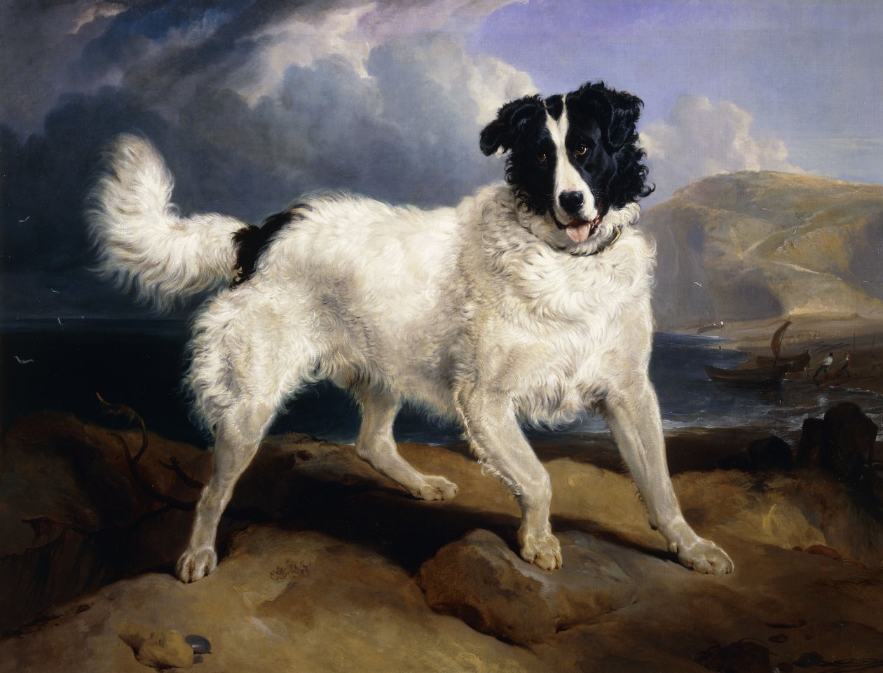 A Portrait of Neptune by Edwin Landseer