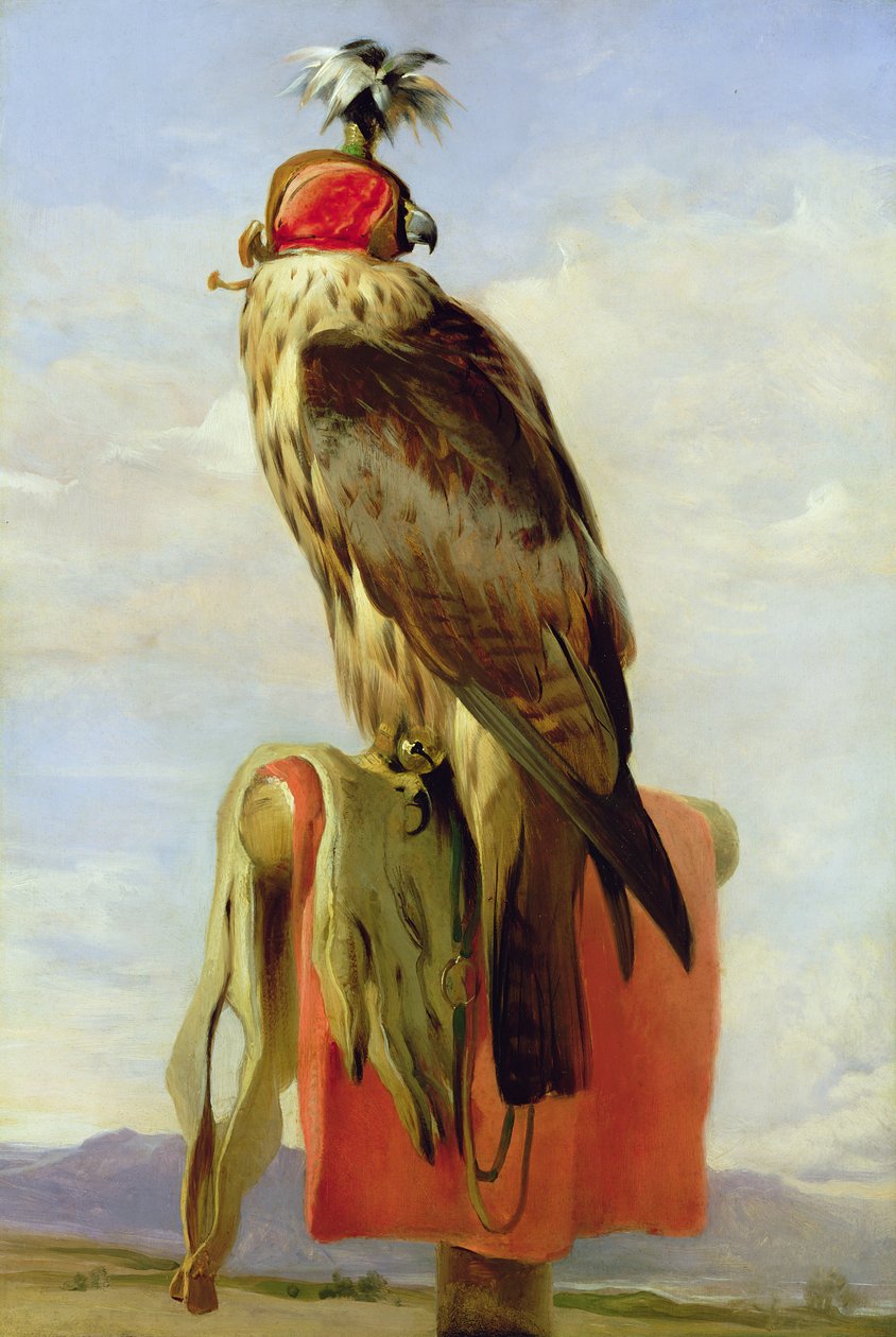 Hooded Falcon by Edwin Landseer