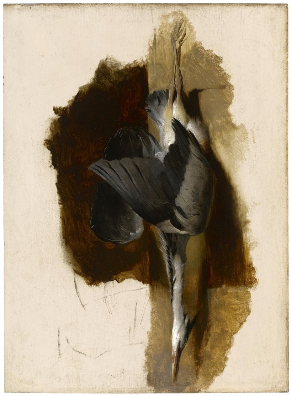 Study of a Dead Heron by Edwin Landseer