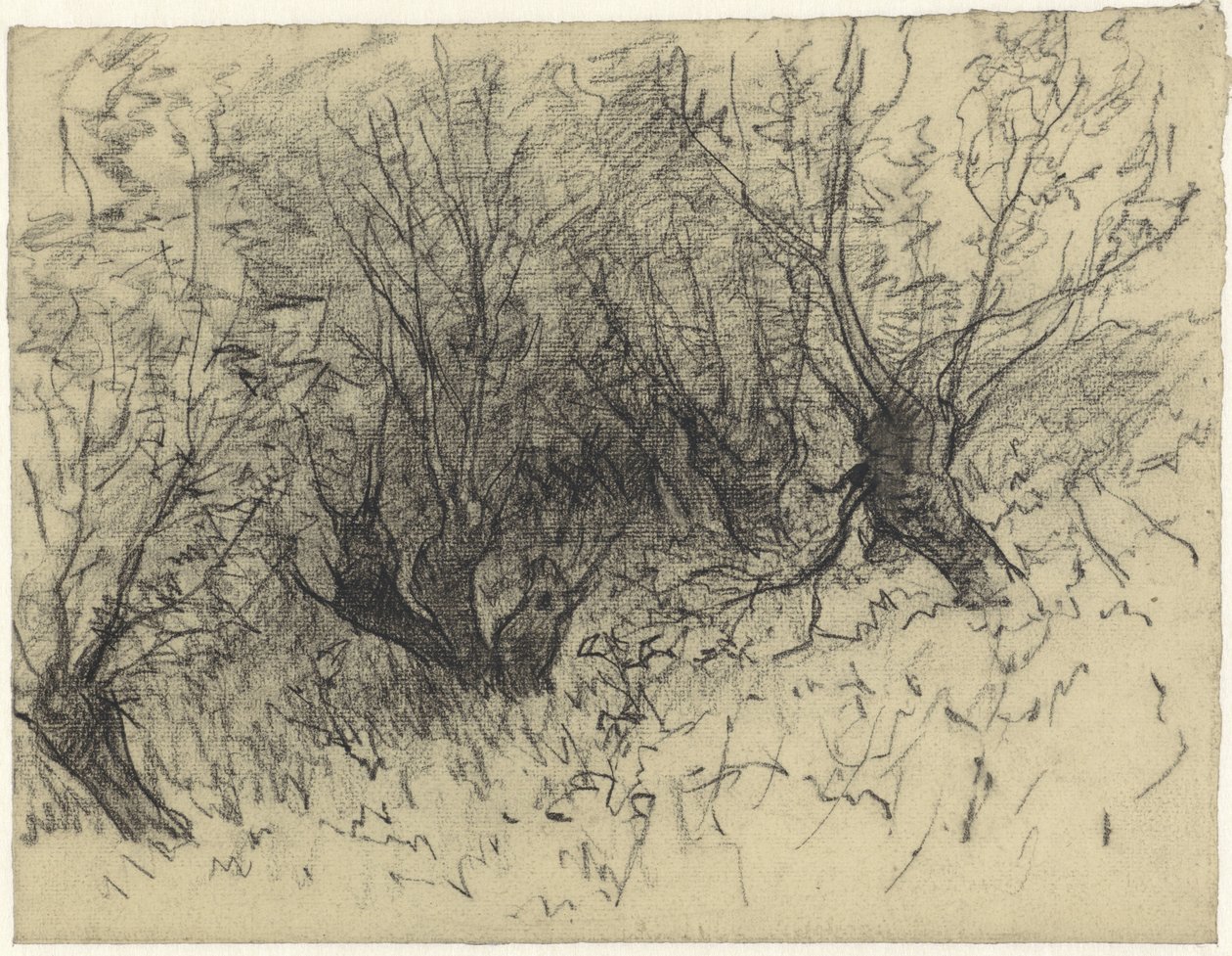 A Few Pollard Willows by Egbert Rubertus Derk Schaap