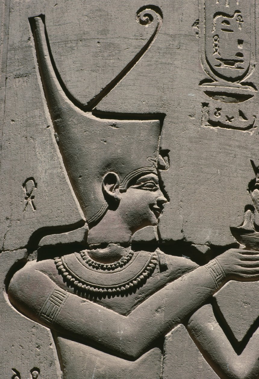 Relief of Pharaoh (detail) by Egyptian