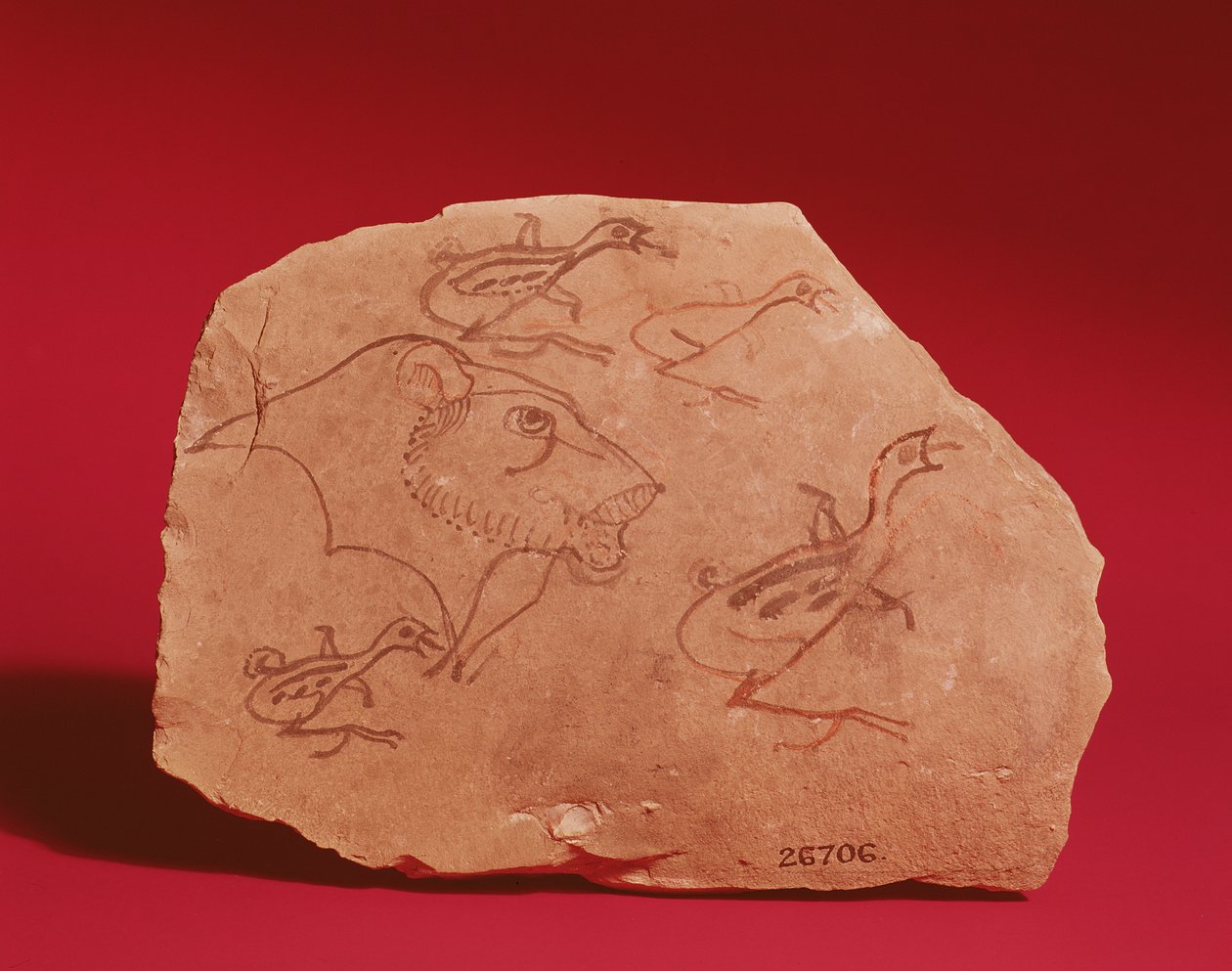 Ostrakon depicting the head of a lion and four quail chicks, probably from Thebes, 19th-20th Dynasty by Egyptian