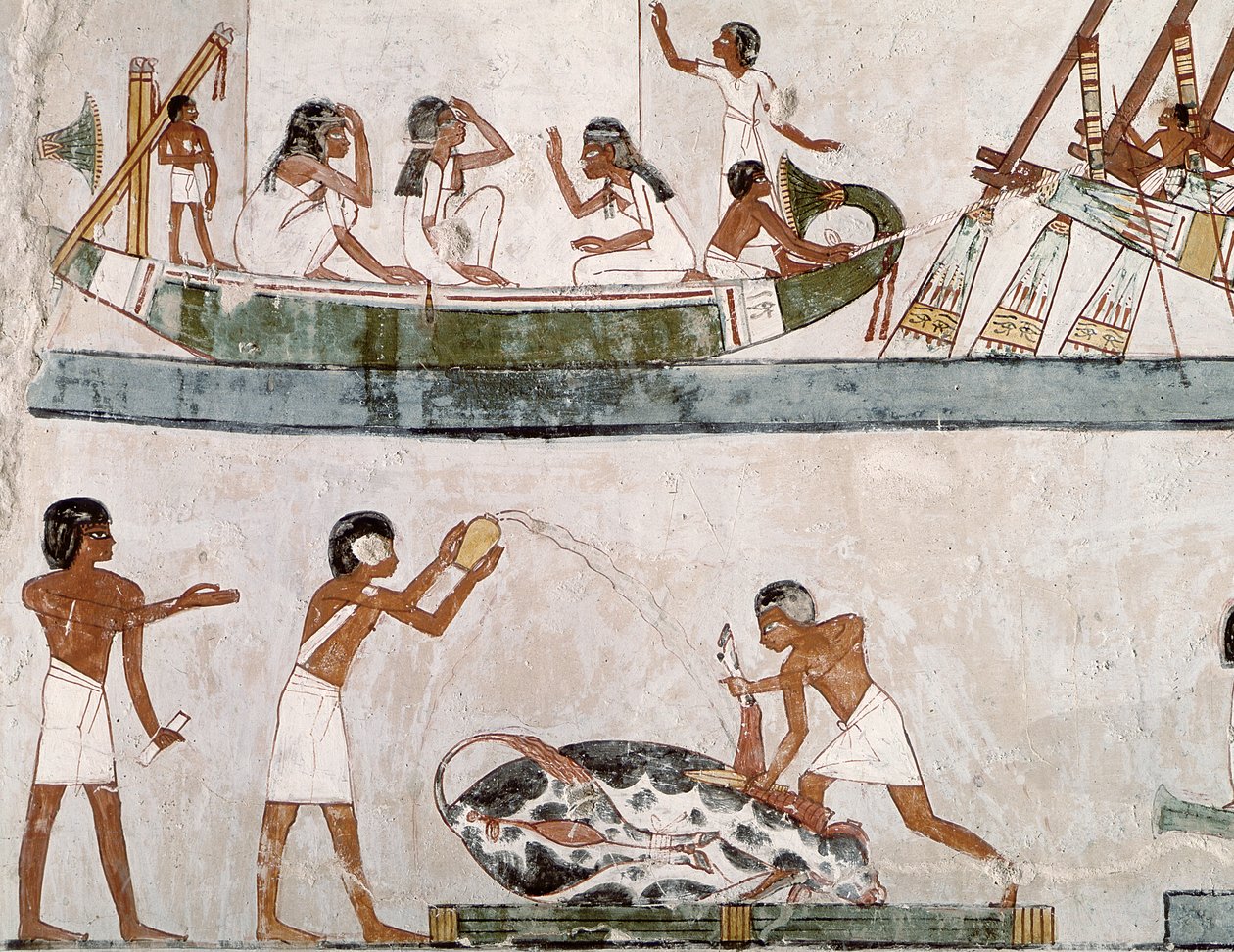 Sacrifice and Purification of a Bull, and a Sailing Ritual, from the Tomb of Menna by Egyptian 18th Dynasty