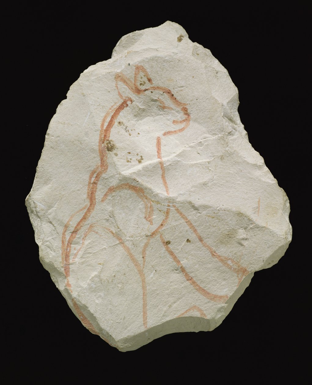 Ostracon Depicting a Seated Cat by Egyptian 19th Dynasty