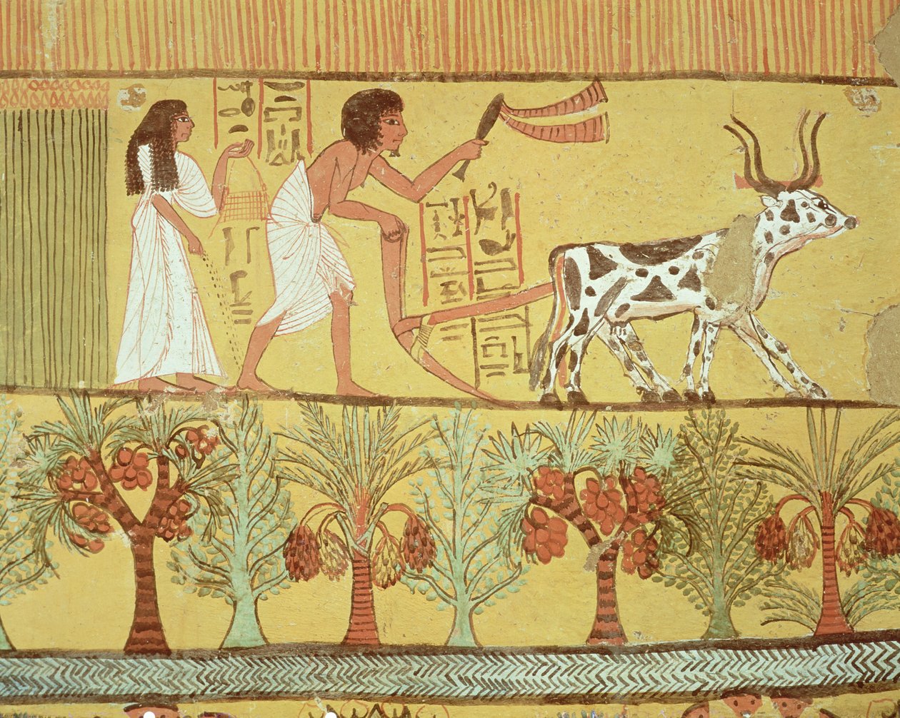 Sennedjem and His Wife in the Fields Sowing and Tilling, from the Tomb of Sennedjem by Egyptian 19th Dynasty