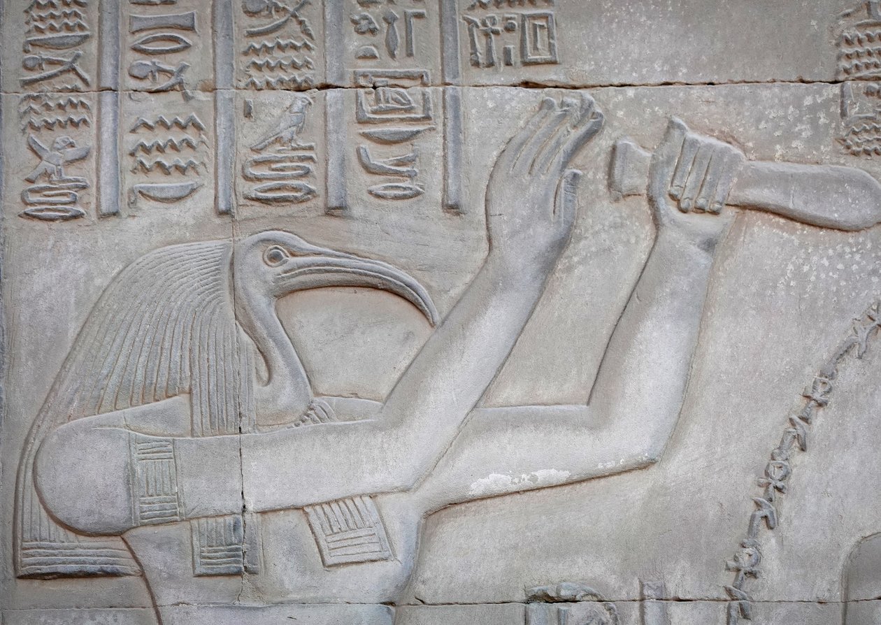 Thot, Kom Ombo Temple by Egyptian Egyptian