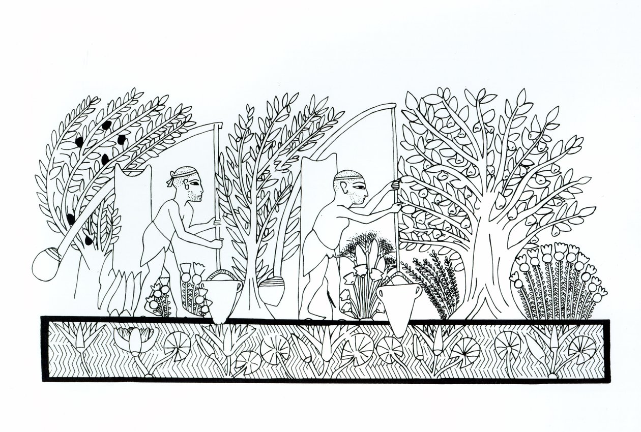 An ancient Egyptian garden by Egyptian School
