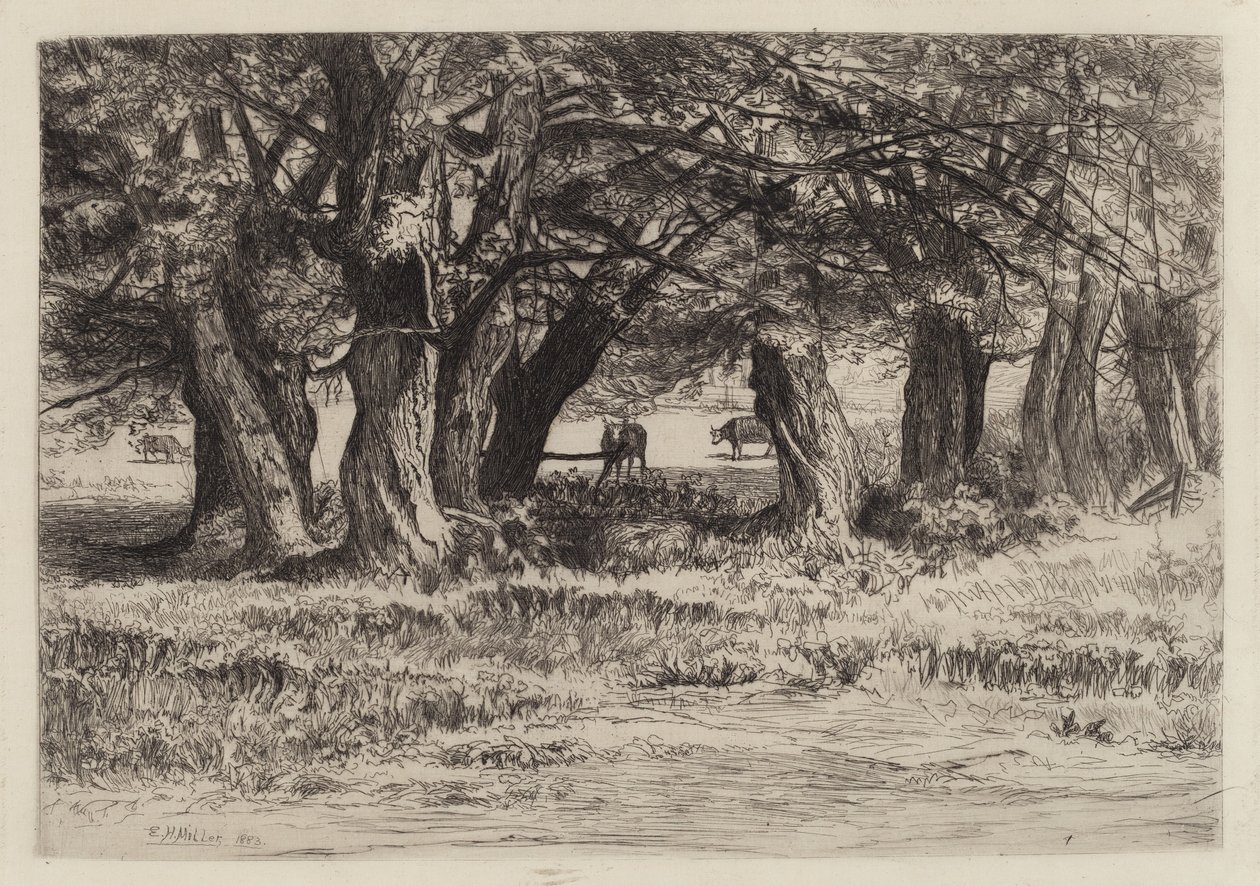 A Group of Willows by Eleazer Hutchinson Miller